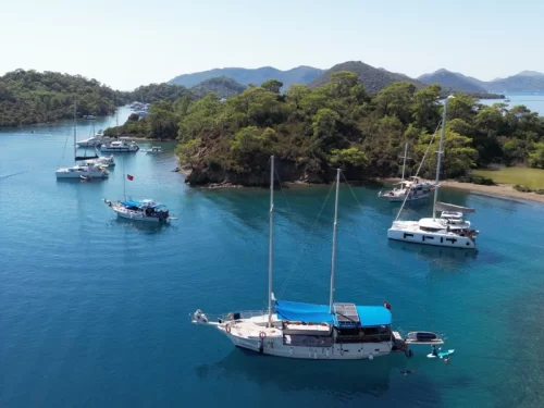 Tekne Dışı Resimler