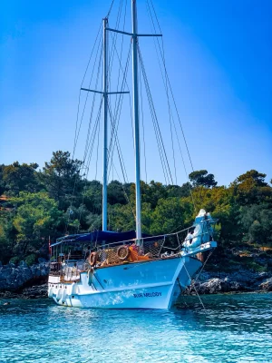 Tekne Dışı Resimler