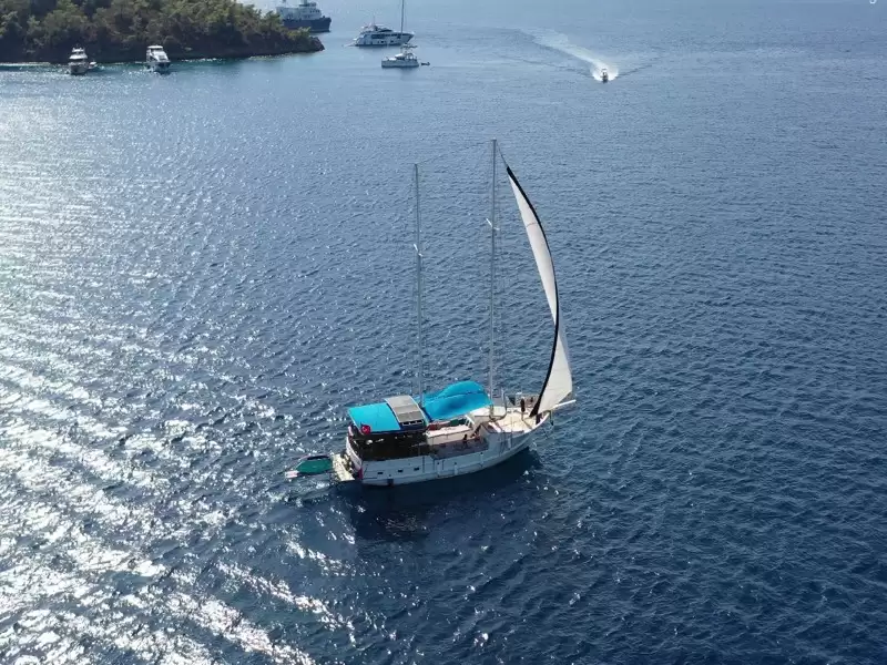 Günübirlik Tur Programı